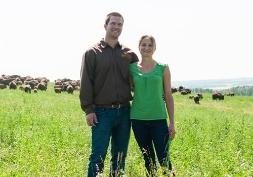 ACANA™ Petfoods Trusted Supplier: Ranch-Raised Bison, Pilatus Farms | 